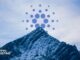 Cardano Looks Ready for an Upswing to $1
