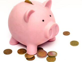 MEV, a pink piggy bank