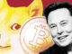 Tesla breaks even on Bitcoin sale, Musk confirms no Dogecoin was sold