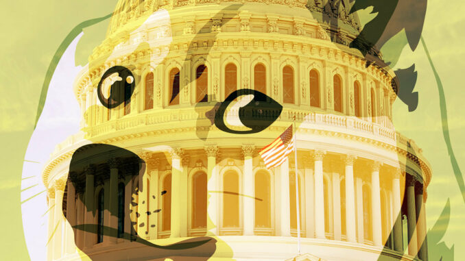 This U.S. Senate candidate wants to make Dogecoin legal tender in California