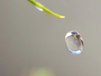 Fear Makes Quick Return to Crypto Markets as Bitcoin Plunges Most in 2 Months