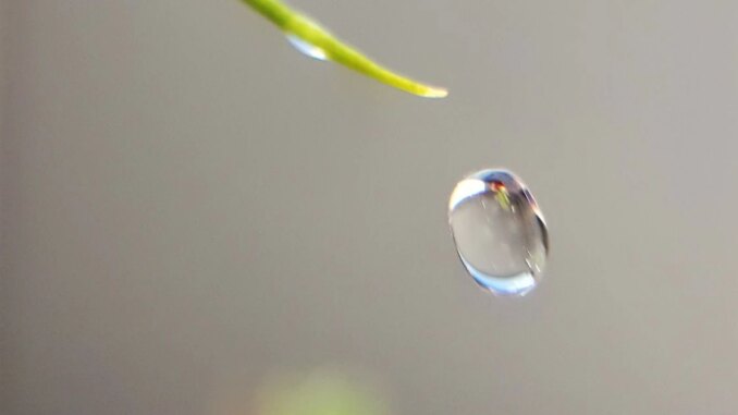 Fear Makes Quick Return to Crypto Markets as Bitcoin Plunges Most in 2 Months