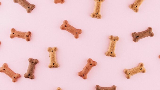 Dogecoin Led the Pack Among Cryptocurrencies in October With 17 Times Bitcoin's Gains