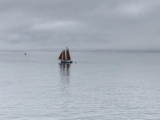 First Mover Asia: Bitcoin Stays Calm at $16.5K