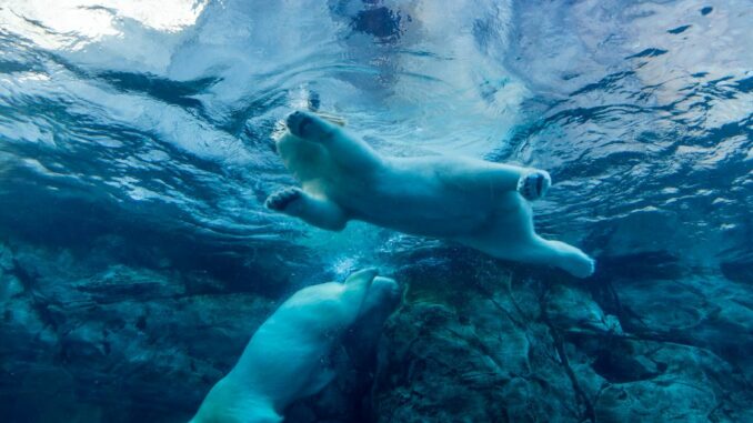 Market Wrap: Solana Plunge Highlights Major Cryptos’ Day in the Red