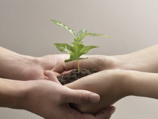 DeFi Hub Nibiru Chain Valued at $100M After $8.5M Seed Funding Round