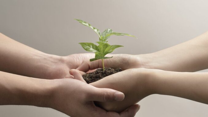 DeFi Hub Nibiru Chain Valued at $100M After $8.5M Seed Funding Round