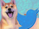 Dogecoin spikes 6% following Twitter’s new move