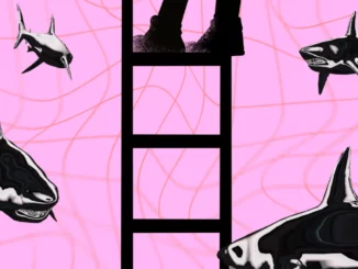 Luno Executive Jumps Ship After Heavy Layoffs