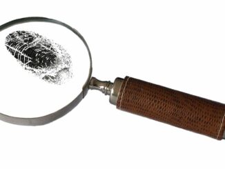 Arkham Intel Exchange Shows 11 Submissions Since Debut Including Finding Elon Musk’s Wallet