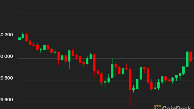 Bitcoin BTC Price Lingers Below $30K, While XRP Continues Its Rally