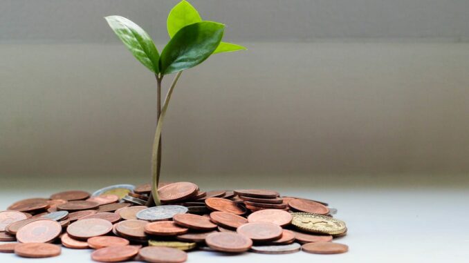 A Year of Growth and Transformation