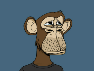 NFTs Aren’t Dead Just Yet (But the MSM Might Be)