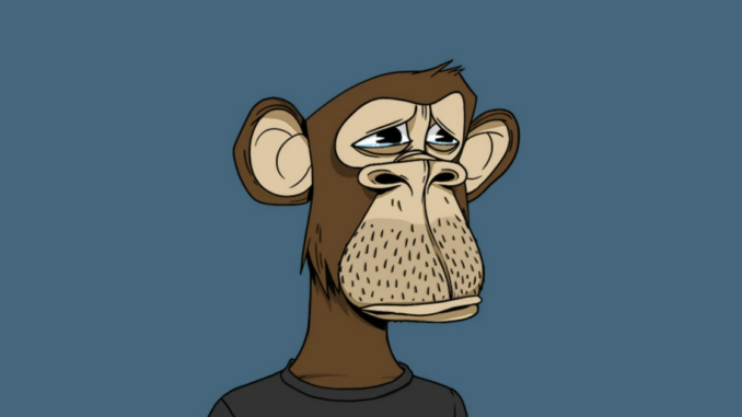 NFTs Aren’t Dead Just Yet (But the MSM Might Be)