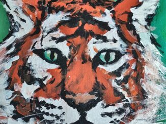 Far From the SBF Trial, a Very Different Web3 Narrative Is Unfolding