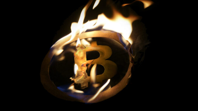 Bitcoin next cycle high