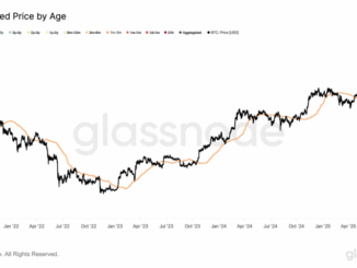 $110,800 Is Bitcoin’s New Key Defense Line: Glassnode