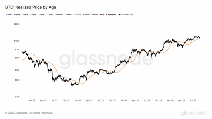 $110,800 Is Bitcoin’s New Key Defense Line: Glassnode