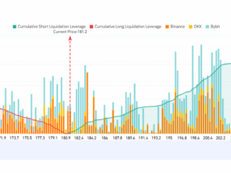 Solana Exchange Liquidation Map. Source: Coinglass