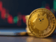 Dogecoin at a crossroads