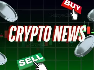 Expert Insights vs. Cardano and Ethereum