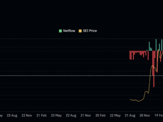 SEI price and rising outflows