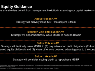 Strategy's Bitcoin Purchasing Guide