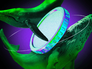 3 Underrated DEX Altcoins Whales Are Quietly Buying For October