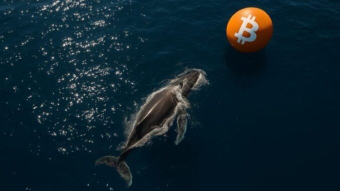 Whale deposits $3.72M USDC into Hyperliquid, opens $27.7M BTC long