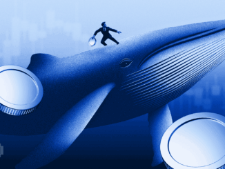 Bitcoin vs Crypto Mining Stocks – Which Is the Better Buy Today?