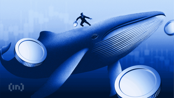 Bitcoin vs Crypto Mining Stocks – Which Is the Better Buy Today?