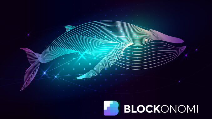 Crypto Whale Opens $44.5M Ether Long Position After October Crash Profits