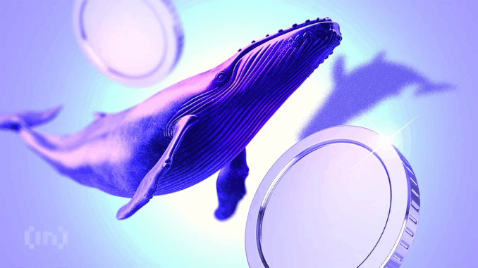 Crypto Whales Are Buying These 3 Tokens For Gains In November