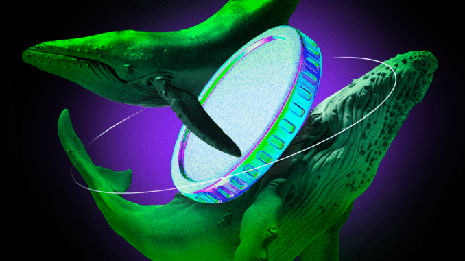 Crypto Whales Move Millions as Market Pulls Back