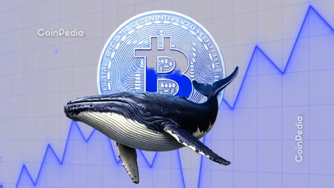 CryptoQuant CEO Ki Young Ju Says OG Whales Are Dragging the Market
