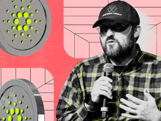 Hoskinson Gives Insight on Cardano DeFi and ADA Holders