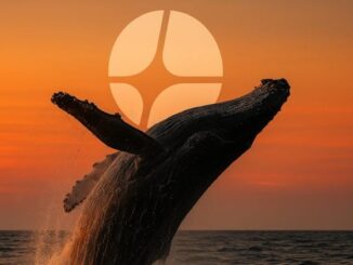 Whale opens 3x long on Aster with $500K USDC deposit into HyperLiquid