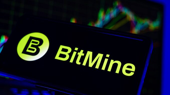 BitMine Immersion Chairman Urges Shareholders to Approve 50 Billion Share Authorization