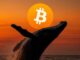 Bitcoin whale posts $50 million gain on BTC, ETH and SOL longs