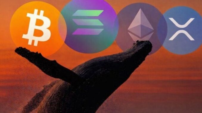 Crypto whale opens $325M long positions in BTC, ETH, XRP, and SOL