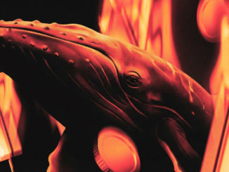 Smart Money Buys Cardano While Retail Exits: What It Signals