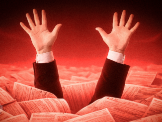 Zcash Price Analysis Signals $250 Risk Despite Whale Optimism