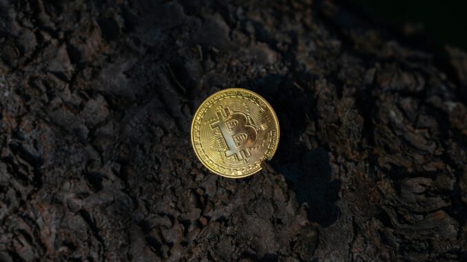 Bitcoin Should Be Flying—Instead, Quantum Keeps It Grounded