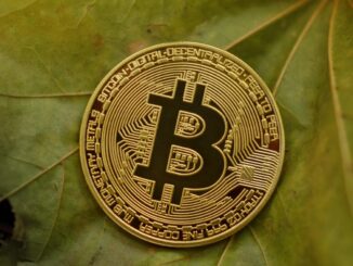 Bitcoin Rally May Be Setting Up A Macro Lower High, Analyst Says