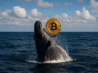 Bitcoin whale awakens after 14 years, sitting on $148 million windfall
