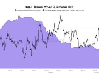 Bitcoin Supply Shock Brewing? Whales Step Back As Long-Term Holders Absorb $49 Billion