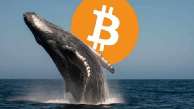 Bitcoin flirts with $72K while a whale bets $80M it won’t last