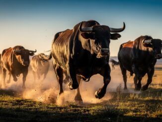 Bitcoin Bulls Awaken As Rare Golden Cross Signal Flashes On Charts