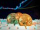Bitcoin Records $40B+ In Capital Outflows As ‘Humpback’ Whales Intensify Selling – Details