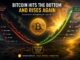 Bitcoin Renko Mari-Ashi Reveals Where The Bottom Lies And When The Rise Will Begin Again